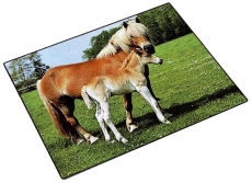 Schreibunterlage Motiv Pferde